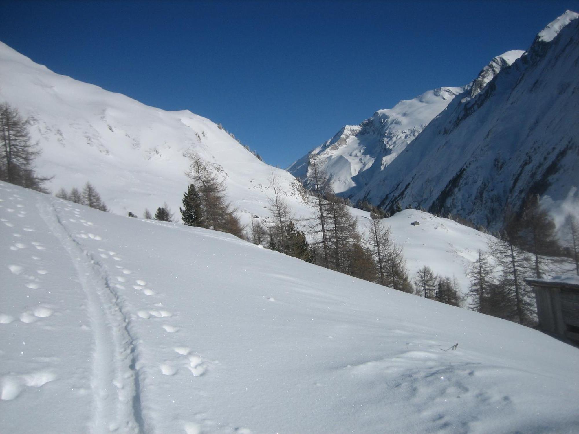 Ferienwohnung Haus Ursula Kals-am Großglockner Exterior foto