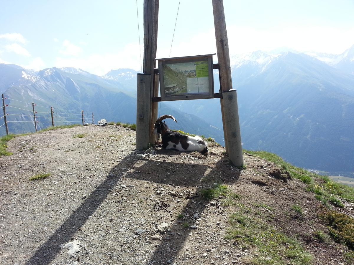 Ferienwohnung Haus Ursula Kals-am Großglockner Exterior foto